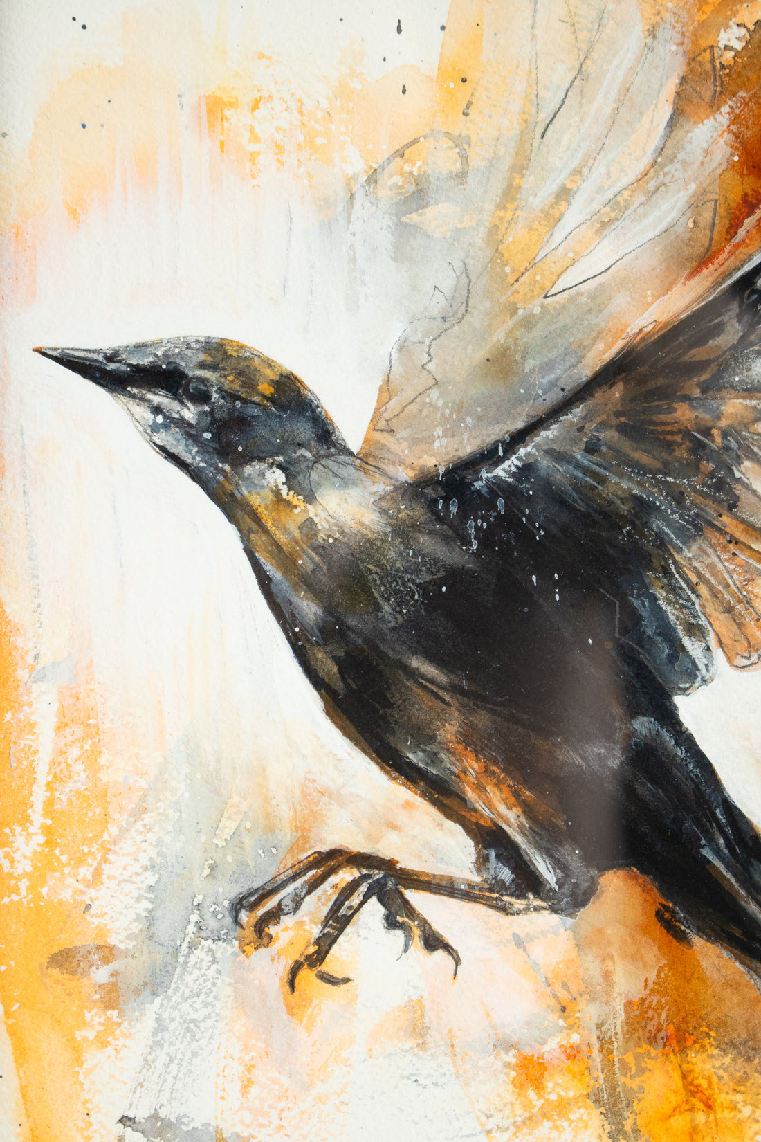 Black Bird Flight Watercolor | 10x12
