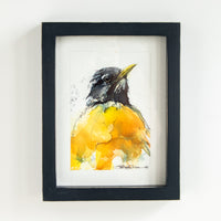 Robin Profile no. 2 | 7x9