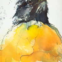 Robin Profile no. 2 | 7x9