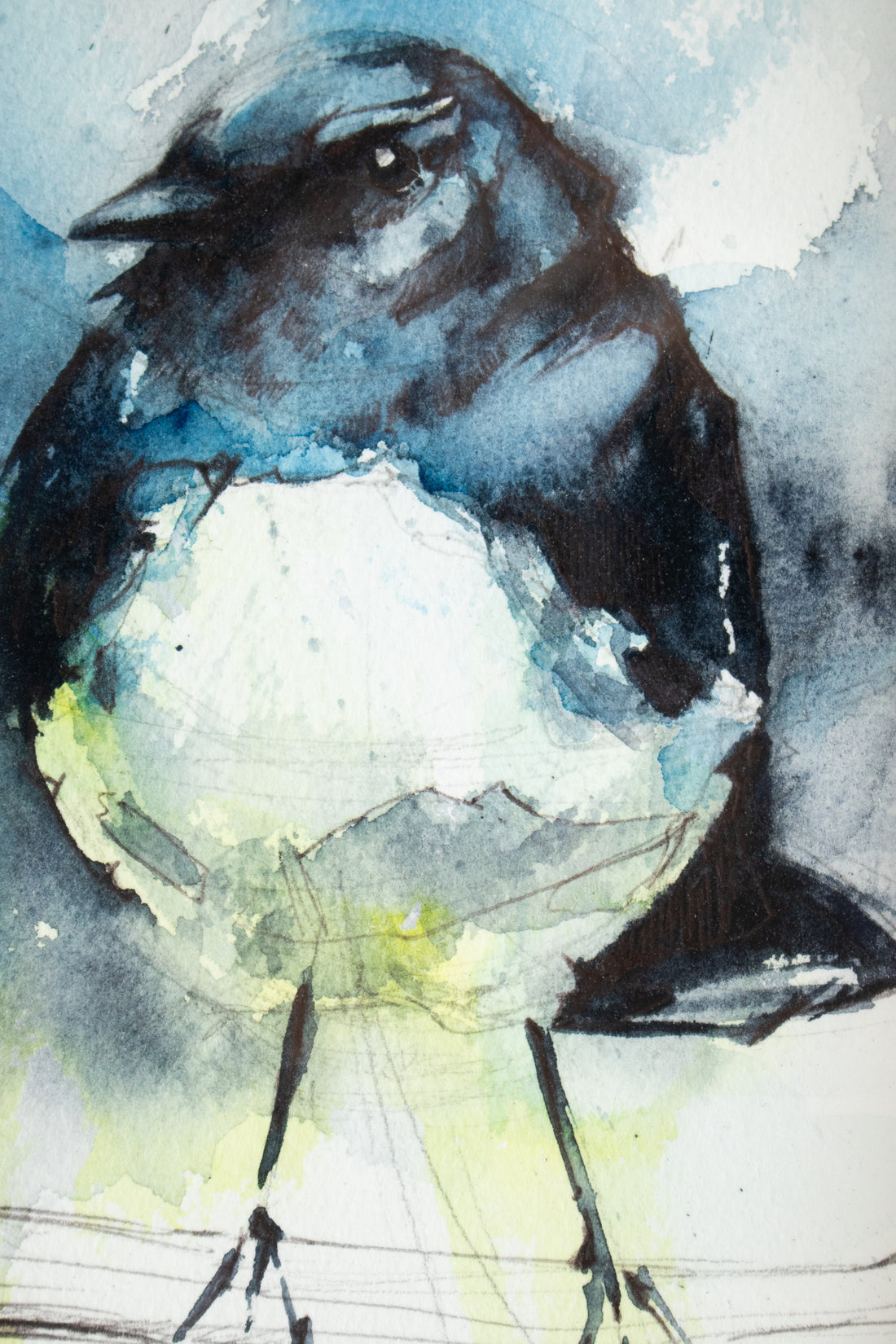 Junco on a Wire | 7x9