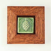 3x3 Pinecone | Glacier Gloss