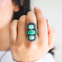 Size 9 | Emerald Valley Turquoise Jackrabbit Ring