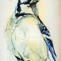 Blue Jay | 7x9 - The Artisan's Bench