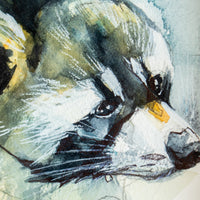 Raccoon | 7x9