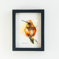 Rufous Hummingbird no.2 | 7x9