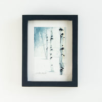 Snowy Birches no.3 | 7x9
