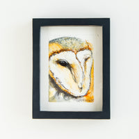Barn Owl no.4 | 7x9