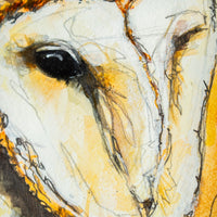 Barn Owl no.4 | 7x9