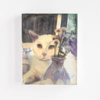 White Cat | 6x8 Encaustic