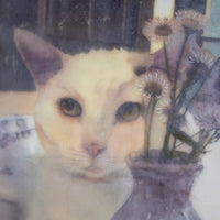 White Cat | 6x8 Encaustic