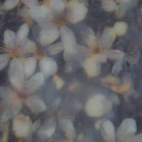 Blossoms | 6x8 Encaustic