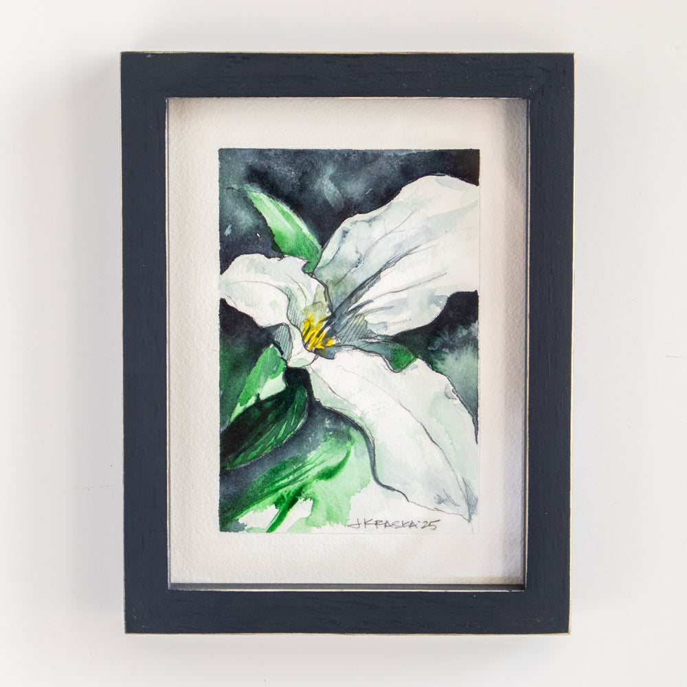 Trillium | 7x9