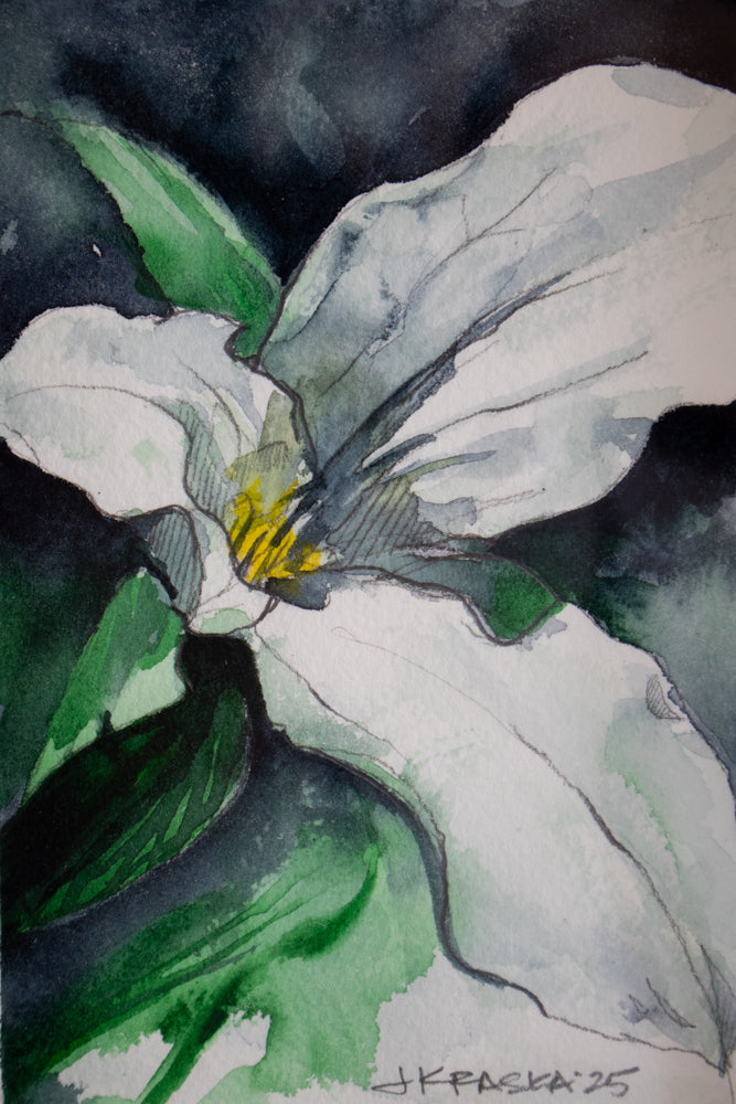 Trillium | 7x9