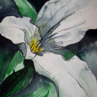 Trillium | 7x9