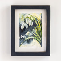 Snowdrops | 7x9