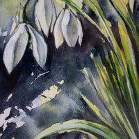 Snowdrops | 7x9