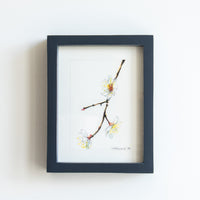 White Cherry Blossoms | 7x9