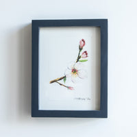Pink Cherry Blossoms | 7x9
