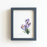 Crocus | 7x9