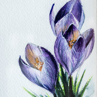 Crocus | 7x9