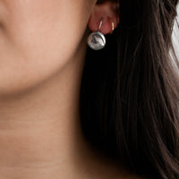 Chickadee Hook Earrings