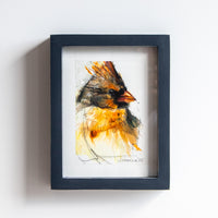 Female Cardinal | 7x9