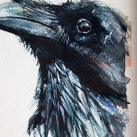 Raven | 7x9