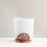Turtle Tumbler | Cream