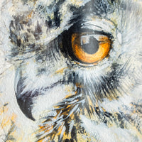 Great Horned Owl no.5 | 7x9