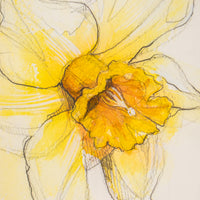 Daffodil Watercolor | 7x9