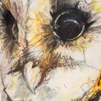 Barn Owl no.3 | 7x9