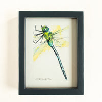Green Dragonfly | 7x9