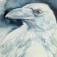 White Raven no.2 | 7x9