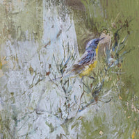 Kirtland's Warbler | 16x8
