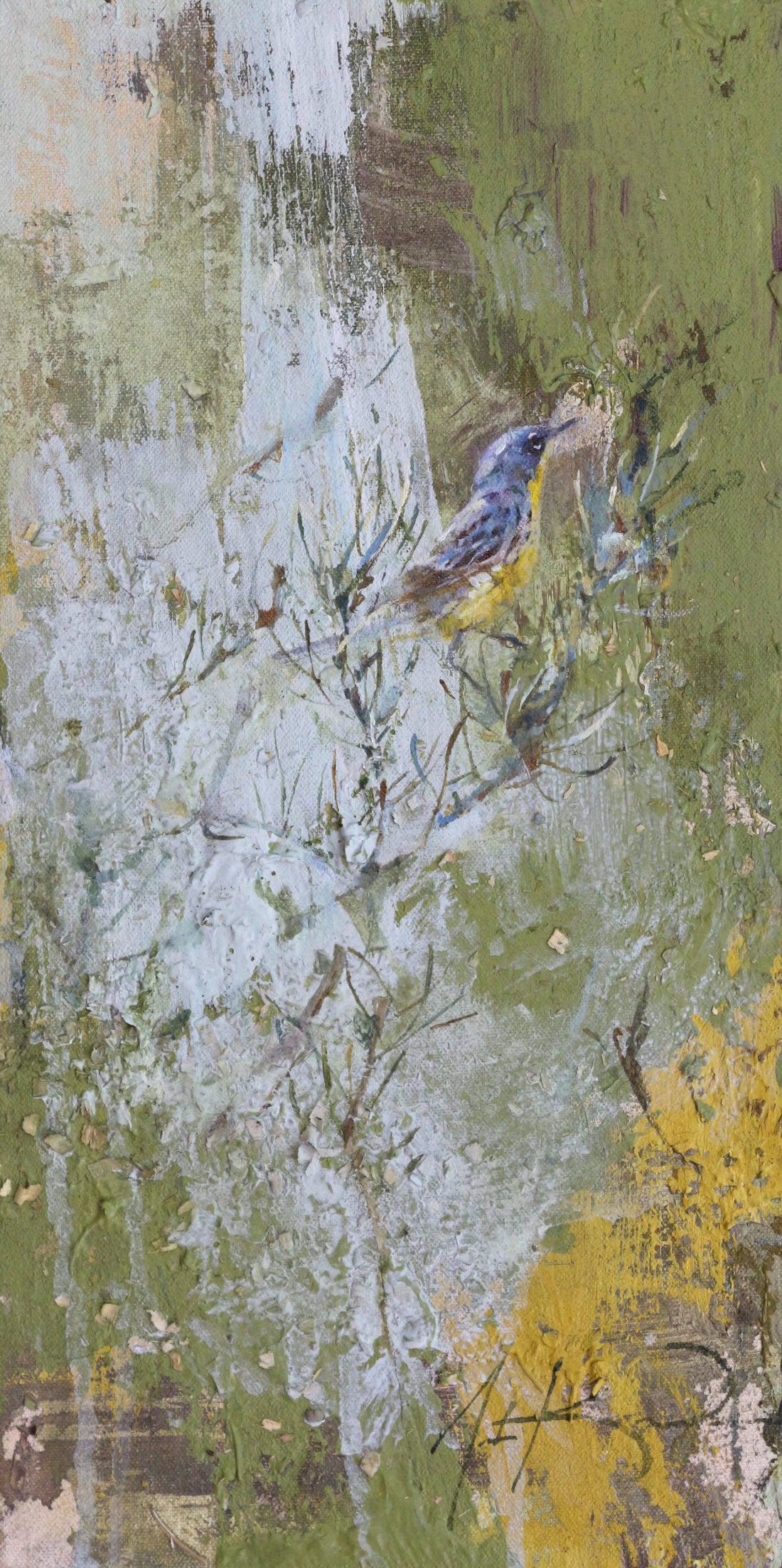 Kirtland's Warbler | 16x8