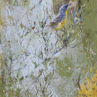 Kirtland's Warbler | 16x8