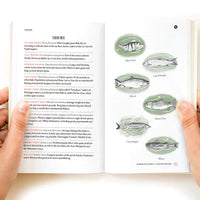 Northern Michigan Field Guide