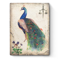 Peacock T597 | Sid Dickens Memory Block