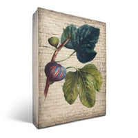 Fig T605 | Sid Dickens Memory Block