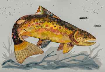 Frying Pan Brown Trout | Archival Print