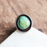 Size 7.75 | Turquoise Sierra Bella Shadowbox Ring