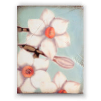 Intro T234 (Retired) | Sid Dickens Memory Block - The Artisan's Bench