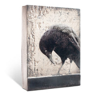 Friend T385 | Sid Dickens Memory Block