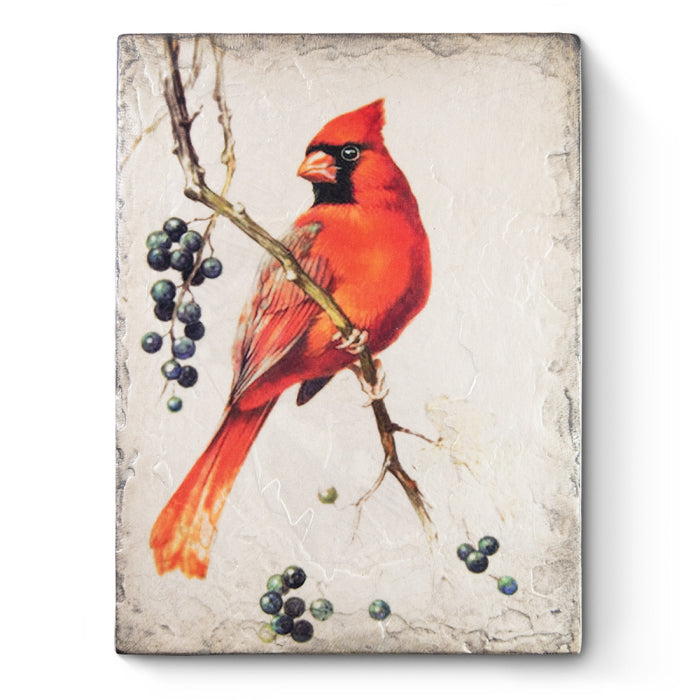 Red Cardinal T638 | Sid Dickens Memory Block - FREE SHIPPING – The
