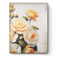 Radiance T652 | Sid Dickens Memory Block