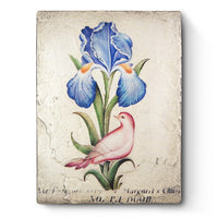 Pompadour T660 *Made to Order* | Sid Dickens Memory Block