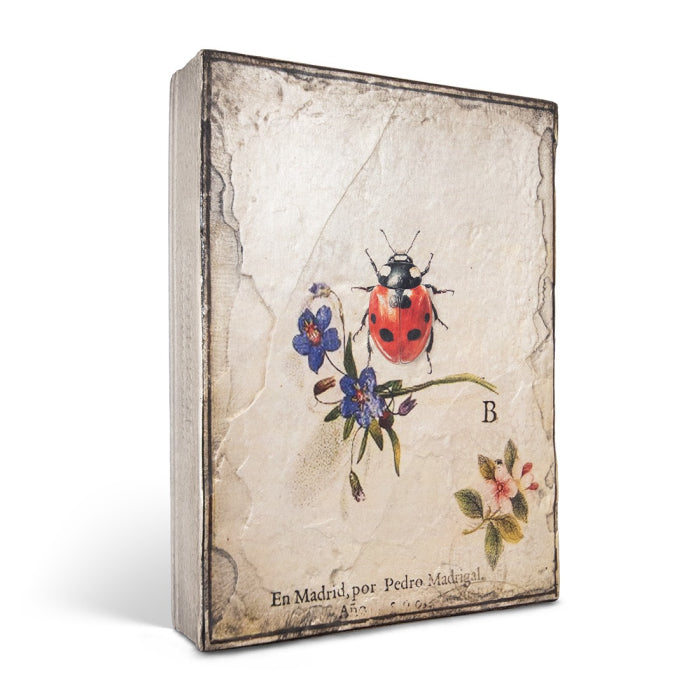 Ladybug T667 | Sid Dickens Memory Block - FREE SHIPPING – The