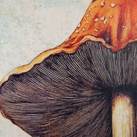 Forest Bloom T669 *Made to Order* | Sid Dickens Memory Block