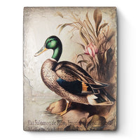 Mallard Duck T677 *Made to Order* | Sid Dickens Memory Block
