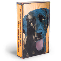 Llewcie 091 (Retired) | Houston Llew Spiritile